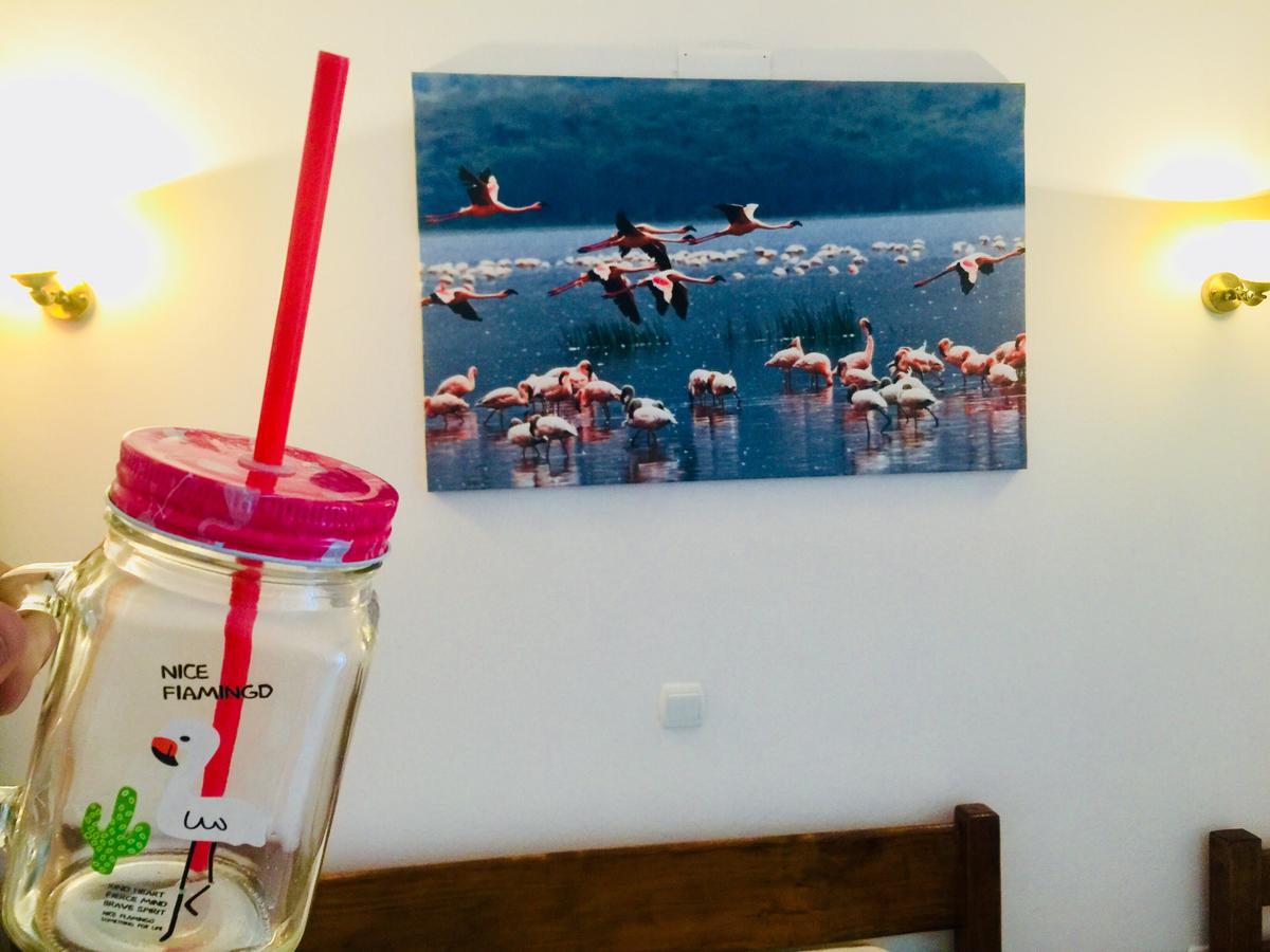 Apartments Flamingo Ούλτσιν Εξωτερικό φωτογραφία